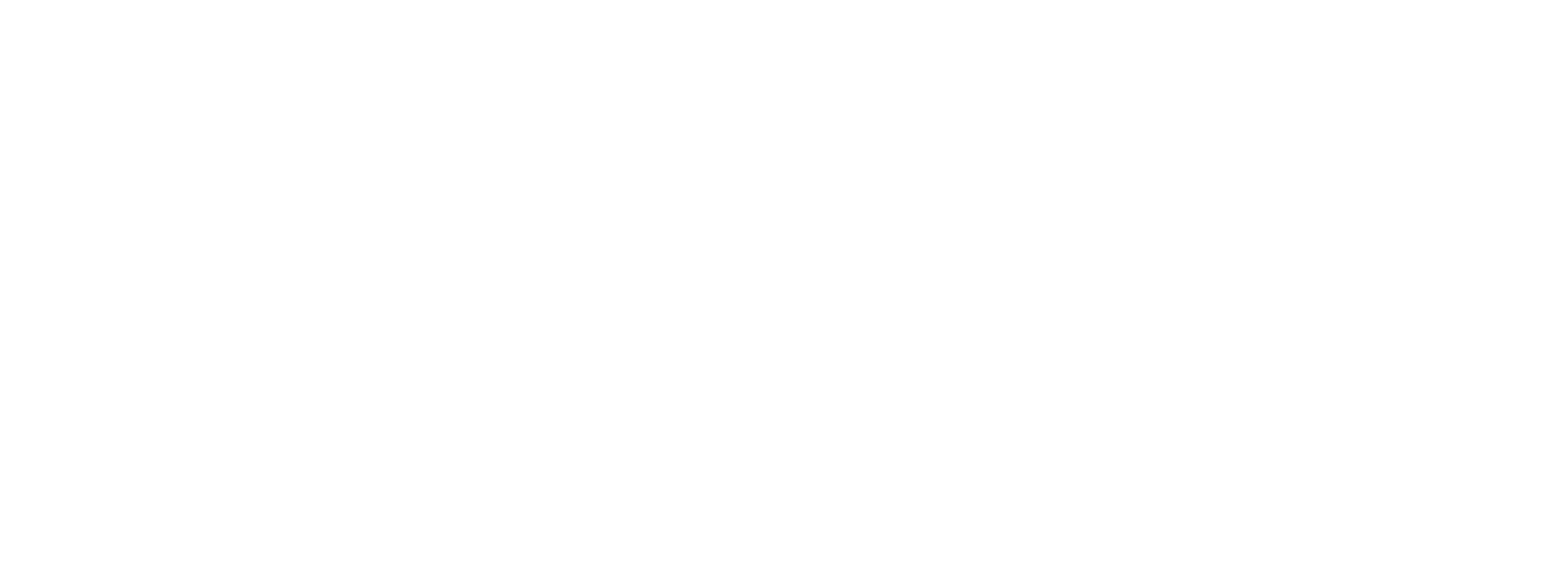 BnTRx Logo